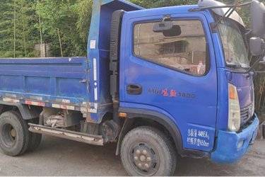 二手时风 风驰 110马力 3.19米自卸车(国五) 单桥 潍柴二手自卸车 蓝牌图片