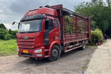 二手一汽解放 J6L中卡 精英版 绿通 260马力 4X2 6.75米栏板载货车(国六) 单桥 锡柴二手载货车 黄牌图片