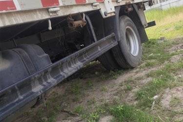 二手福田瑞沃 骁运S1 115马力 3.25米排半自卸车(国六) 单桥 北汽福田二手自卸车 蓝牌图片