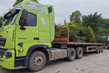 二手中国重汽 HOWO T7H重卡 540马力 6X4牵引车(国五) 双驱 曼二手牵引车 黄牌图片