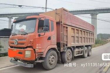 二手大运重卡 N6 300马力 8X4 6.5米自卸车(国五) 前四后八 潍柴二手自卸车 黄牌图片