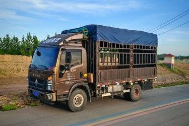 二手中国重汽HOWO 统帅 物流版 160马力 4.85米排半仓栅式载货车(8挡)(国五) 单桥 潍柴二手载货车 黄牌图片