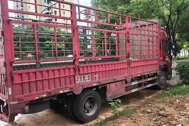 二手青岛解放 JK6中卡 270马力 4X2 6.8米仓栅式载货车(高顶)(带液缓)(国六) 单桥 玉柴二手载货车 黄牌图片