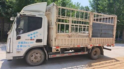 福田奥铃 130马力 载货车