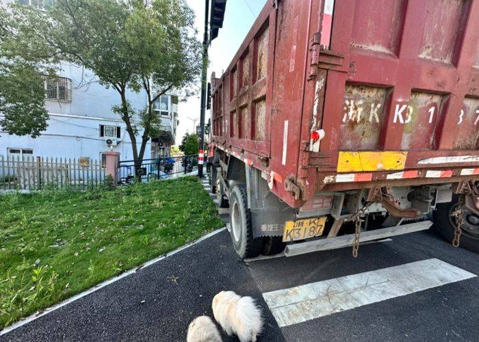 二手中国重汽成都商用车 220马力 自卸车