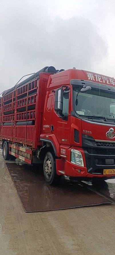 东风柳汽乘龙 240马力 载货车