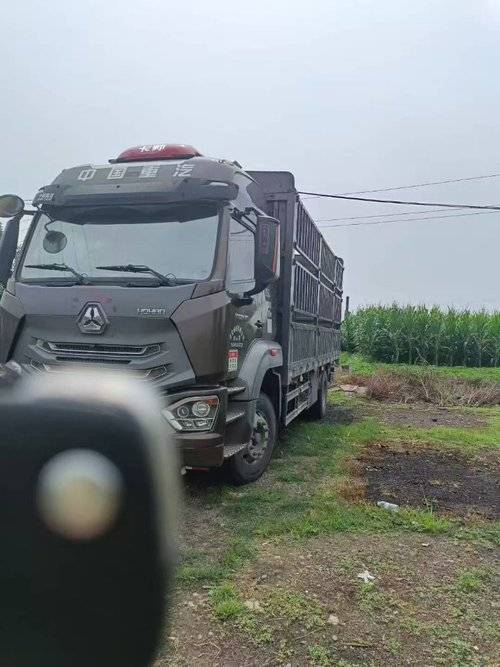 中国重汽成都商用车 220马力 载货车