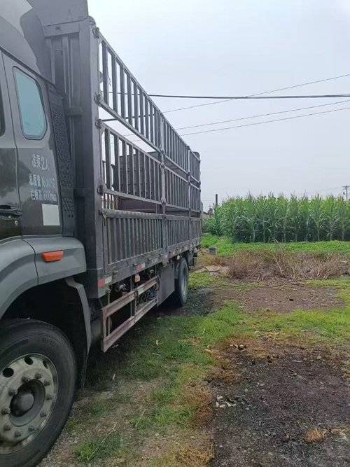 中国重汽成都商用车 220马力 载货车