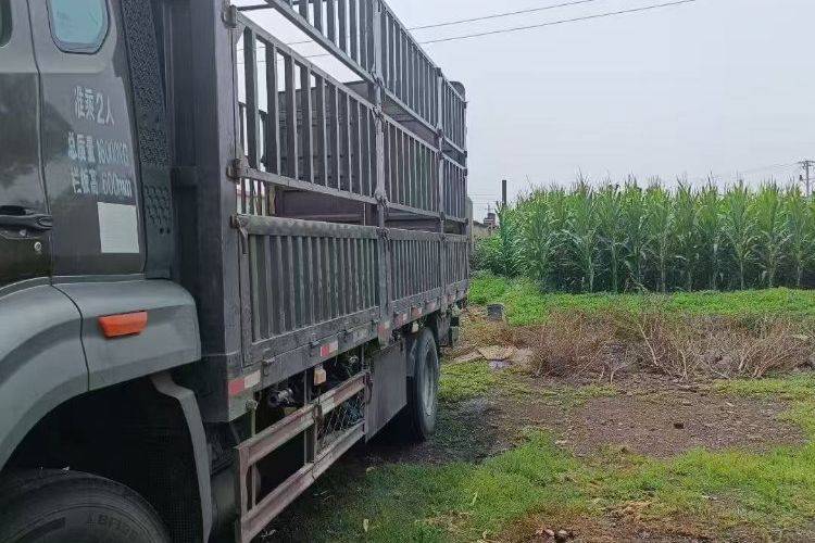 中国重汽成都商用车 220马力 载货车