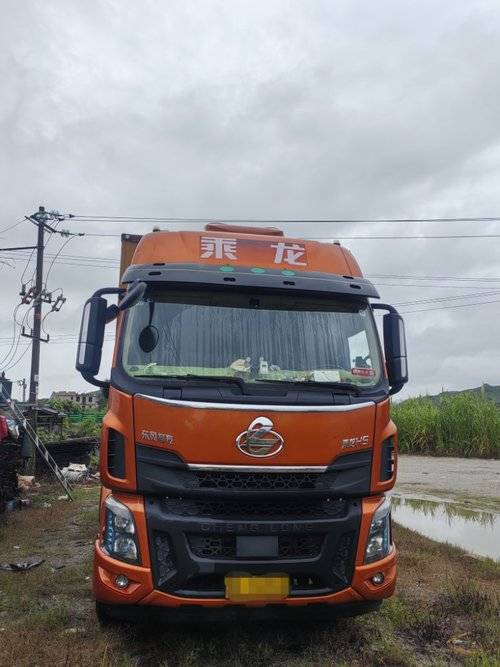 东风柳汽乘龙 290马力 载货车