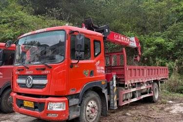 二手随车吊 东风多利卡 多利卡D9 220 6 4X2