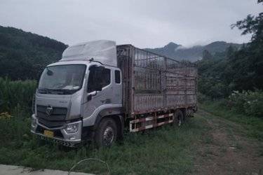 二手福田 欧马可5系 185马力 7.2米单排厢式式载货车(国五) 单桥 福田康明斯二手载货车 黄牌图片