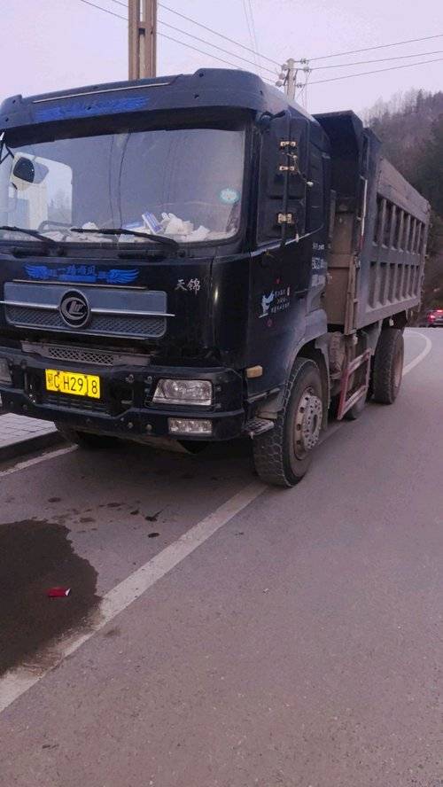 东风新疆 245马力 自卸车