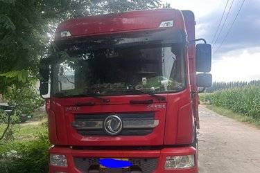 二手东风 多利卡D9K 220马力 4X2 6.8米仓栅式载货车(国六) 单桥 东风二手载货车 黄牌图片