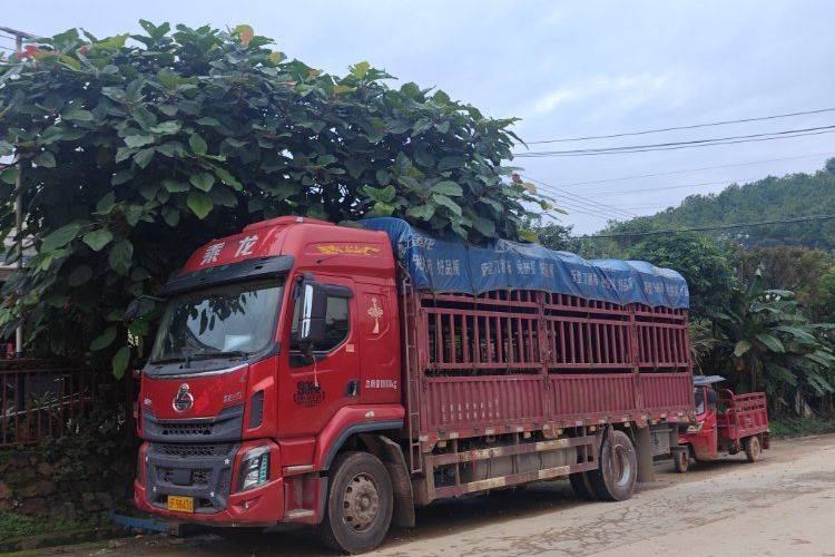 二手东风柳汽乘龙 260马力 载货车