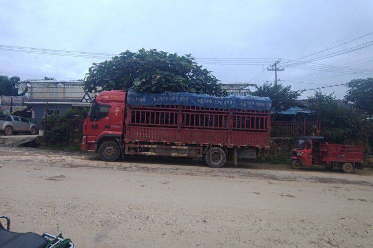 二手东风柳汽乘龙 260马力 载货车