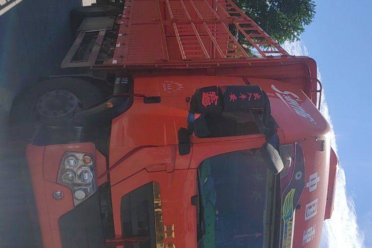 重汽豪沃(HOWO) 290马力 载货车