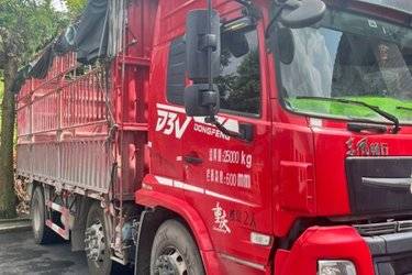 二手东风新疆 畅行D3V 260马力 6X2 6.2米仓栅式载货车(高顶)(国六) 前四后四 康明斯二手载货车 黄牌图片
