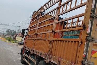 二手中国重汽 汕德卡SITRAK G5中卡 240马力 4X2 6.8米仓栅式载货车(国五) 单桥 曼二手载货车 黄牌图片