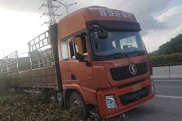 二手陕汽重卡 德龙X3000 轻量化版 350马力 8X2 9.5米仓栅式载货车(国五) 前四后六 潍柴二手载货车 黄牌