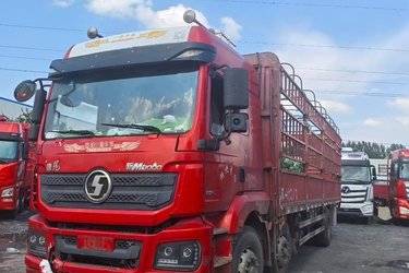 陕汽重卡 德龙M3000 336马力 8X4 9.5米仓栅式载货车(LNG)(国五) 前四后八 潍柴二手载货车 黄牌