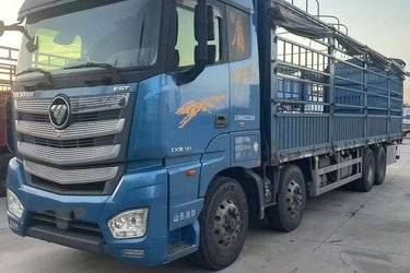 二手福田 欧曼EST 6系重卡 南方版 510马力 8X4 9.53米仓栅式载货车(国五) 前四后八 康明斯二手载货车 黄牌图片