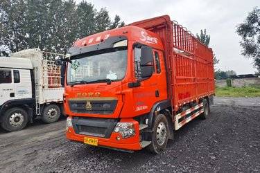 二手中国重汽 HOWO TX 豪华版 250马力 4X2 6.75米仓栅式货车(国六) 单桥 曼二手载货车 黄牌图片