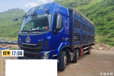 二手畜禽运输车 东风柳汽乘龙 乘龙H7图片