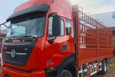 二手东风商用车 天锦KR PLUS 舒适版 290马力 4X2 6.8米仓栅式载货车(国六) 单桥 东风康明斯二手载货车 黄牌图片