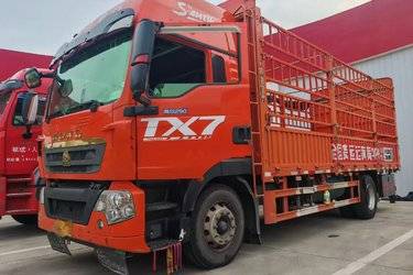 二手中国重汽 HOWO TX 290马力 4X2 6.75米仓栅式货车(国六) 单桥 曼二手载货车 黄牌图片