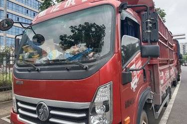 二手中国重汽成都商用车 瑞狮 160马力 4.15米单排仓栅式轻卡(国六) 单桥 潍柴二手载货车 蓝牌图片