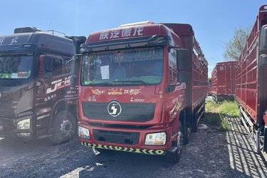二手陕汽重卡 德龙L3000 标载版 300马力 6X2 9.5米仓栅式载货车(高顶)(液缓)(国五) 前四后四 潍柴二手载货车 黄牌
