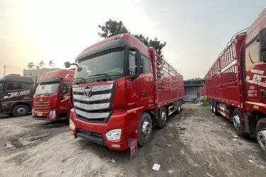 二手福田 欧曼EST 基本型 490马力 8X4 9.56米仓栅式载货车(国六)(全盘)(国六) 前四后八 福田康明斯二手载货车 黄牌图片